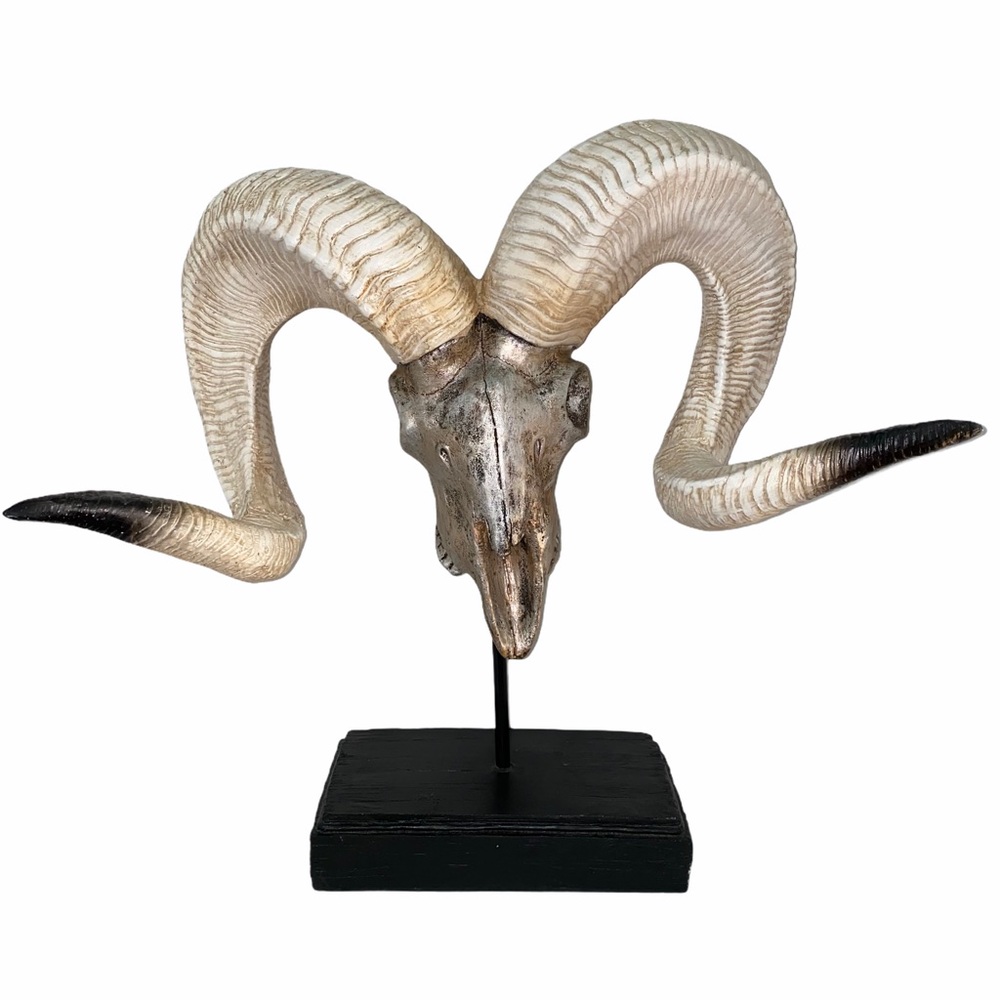 Seecharran Ram Skull Bust by Loon Peak NWOT